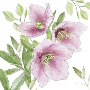 Servilleta CLASSIC HELLEBORUS 33 x 33 cm.